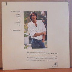 TERENCE BOYLAN -  TERENCE BOYLAN (1977) - LP 2.EL PLAK