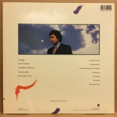 CHRIS DE BURGH - INTO THE LIGHT (1986) 2.EL PLAK