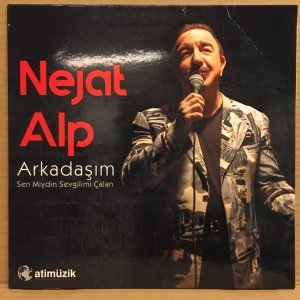 NEJAT ALP - ARKADAŞIM / SEN MİYDİN SEVGİLİMİ ÇALAN - LP 2.EL