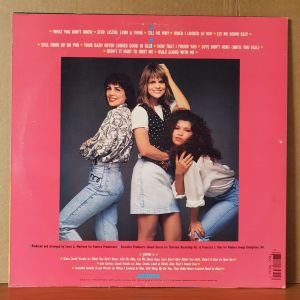 EXPOSE - WHAT YOU DON'T KNOW (1989) - LP 2.EL PLAK