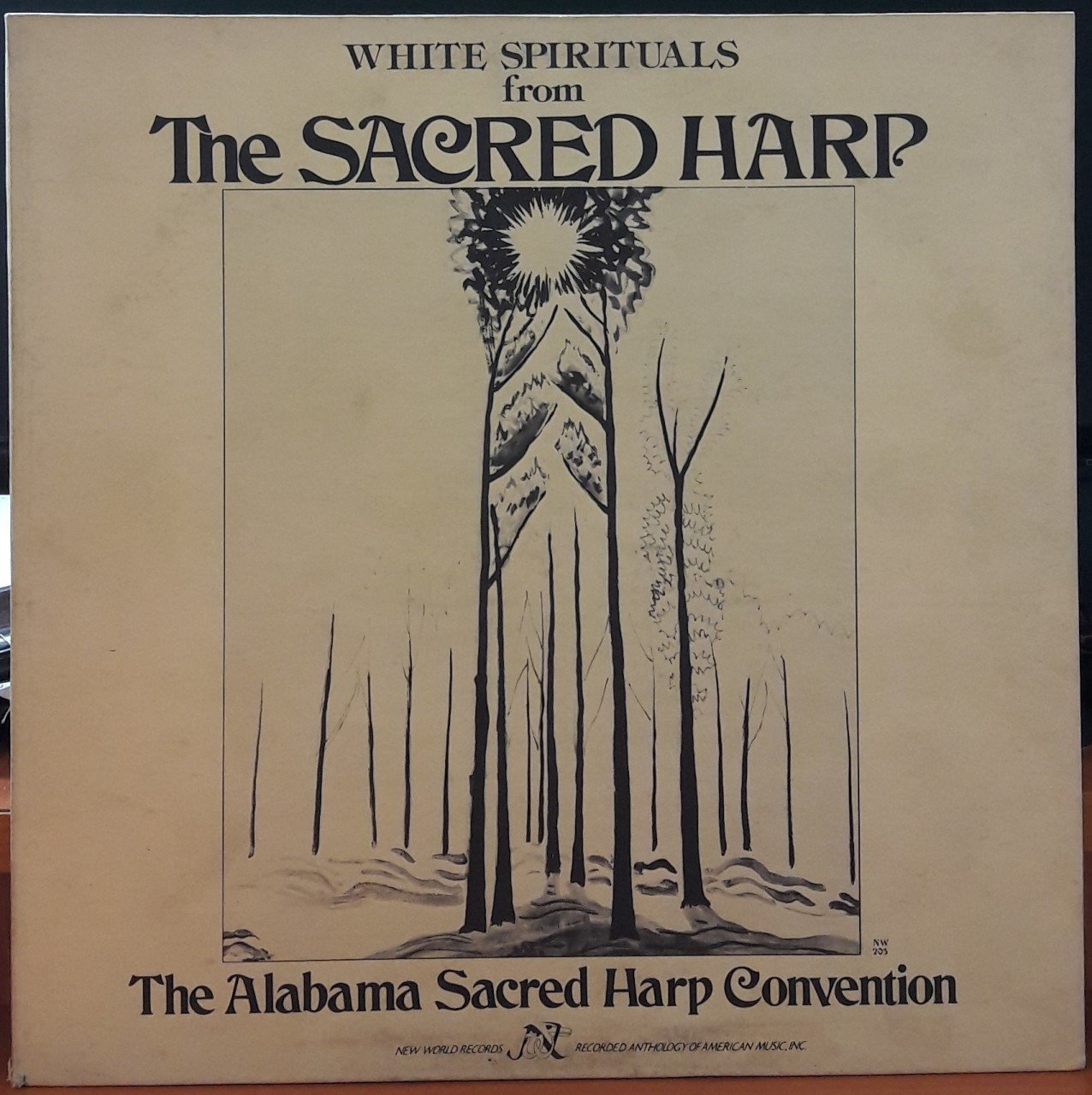 WHITE SPIRITUALS FROM THE SACRED HARP - PLAK 2.EL