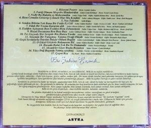 BİR ŞARKIDIR YAŞAMAK 9 / HÜSEYNİ - CD SIFIR
