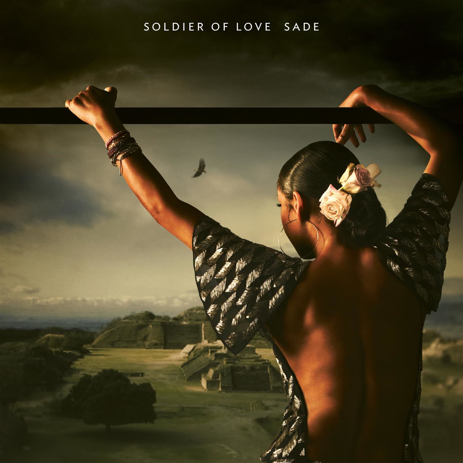 SADE - SOLDIER OF LOVE (2010) - LP 180GR 2024 EDITION SIFIR PLAK