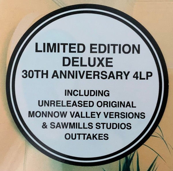 OASIS - DEFINITELY MAYBE (1994) - 4LP 2024 30TH ANNIVERSARY DELUXE EDITION BOX SET SIFIR PLAK