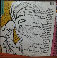 ROD STEWART - ABSOLUTELY LIVE (1982) - 2PLAK 2.EL