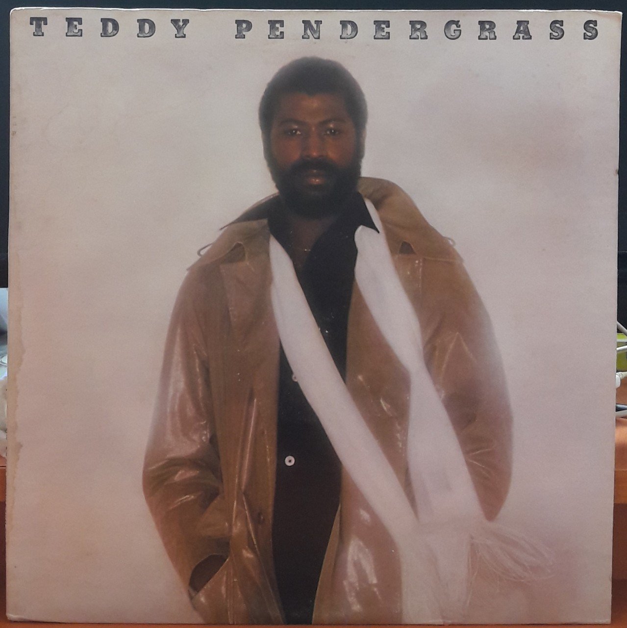 TEDDY PENDERGRASS - TEDDY PENDERGRASS (1977) - PLAK 2.EL
