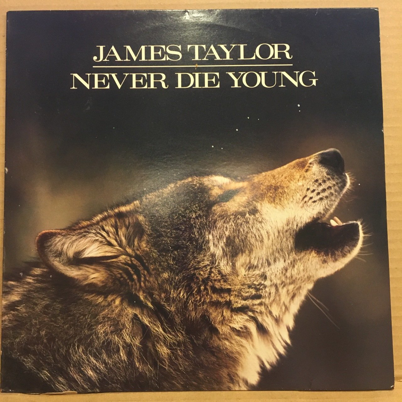 JAMES TAYLOR - NEVER DIE YOUNG (1988) 2.EL PLAK