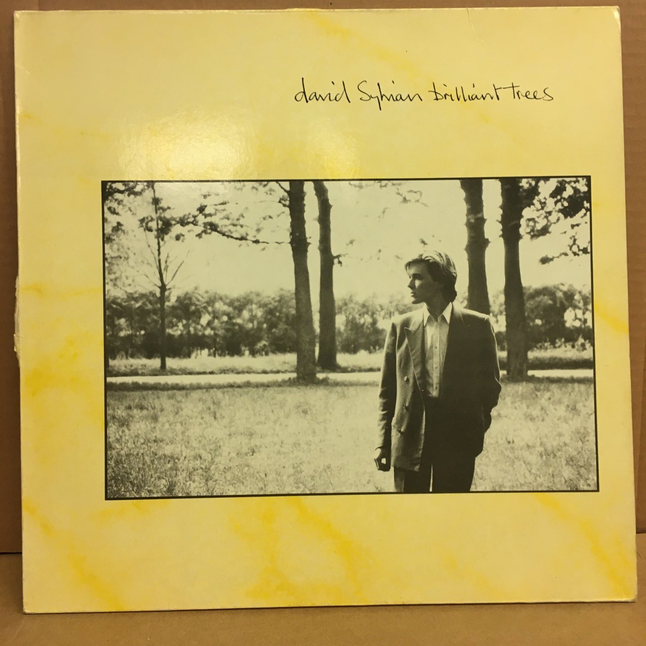 DAVID SYLVIAN - BRILLIANT TREES 2.EL PLAK