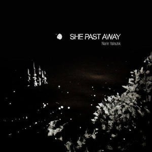 SHE PAST AWAY - NARİN YALNIZLIK (2015) LP 2020 REPRESS SIFIR PLAK