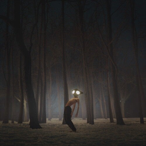 GEESE - PROJECTOR (2021) - LP INDIE ROCK SIFIR PLAK