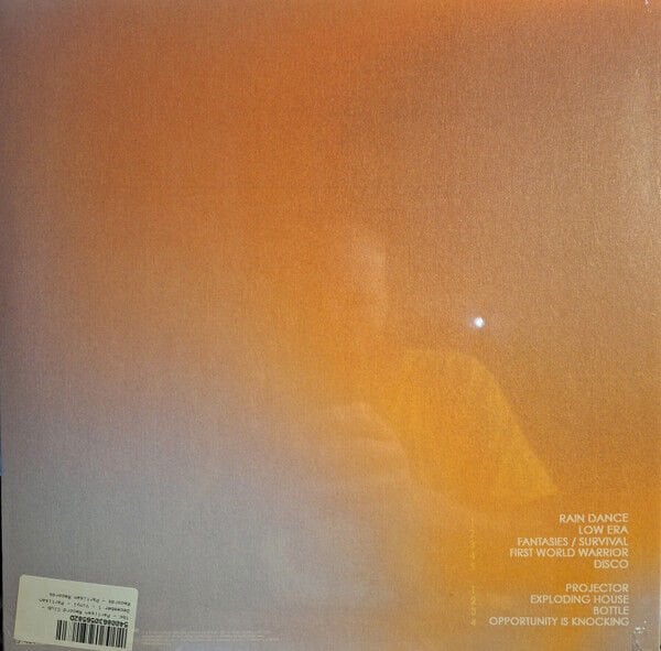 GEESE - PROJECTOR (2021) - LP INDIE ROCK SIFIR PLAK