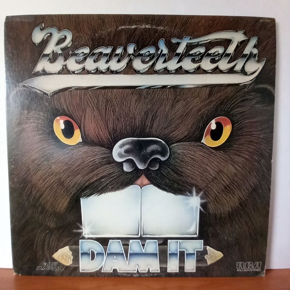 BEAVERTEETH – DAM IT (1978) - LP 2.EL PLAK
