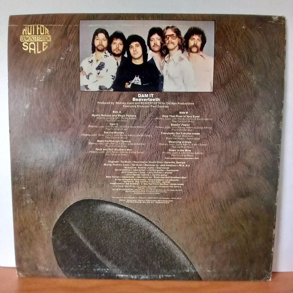 BEAVERTEETH – DAM IT (1978) - LP 2.EL PLAK