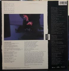 RODNEY FRANKLIN - DIAMOND INSIDE OF YOU (1988) - PLAK 2.EL