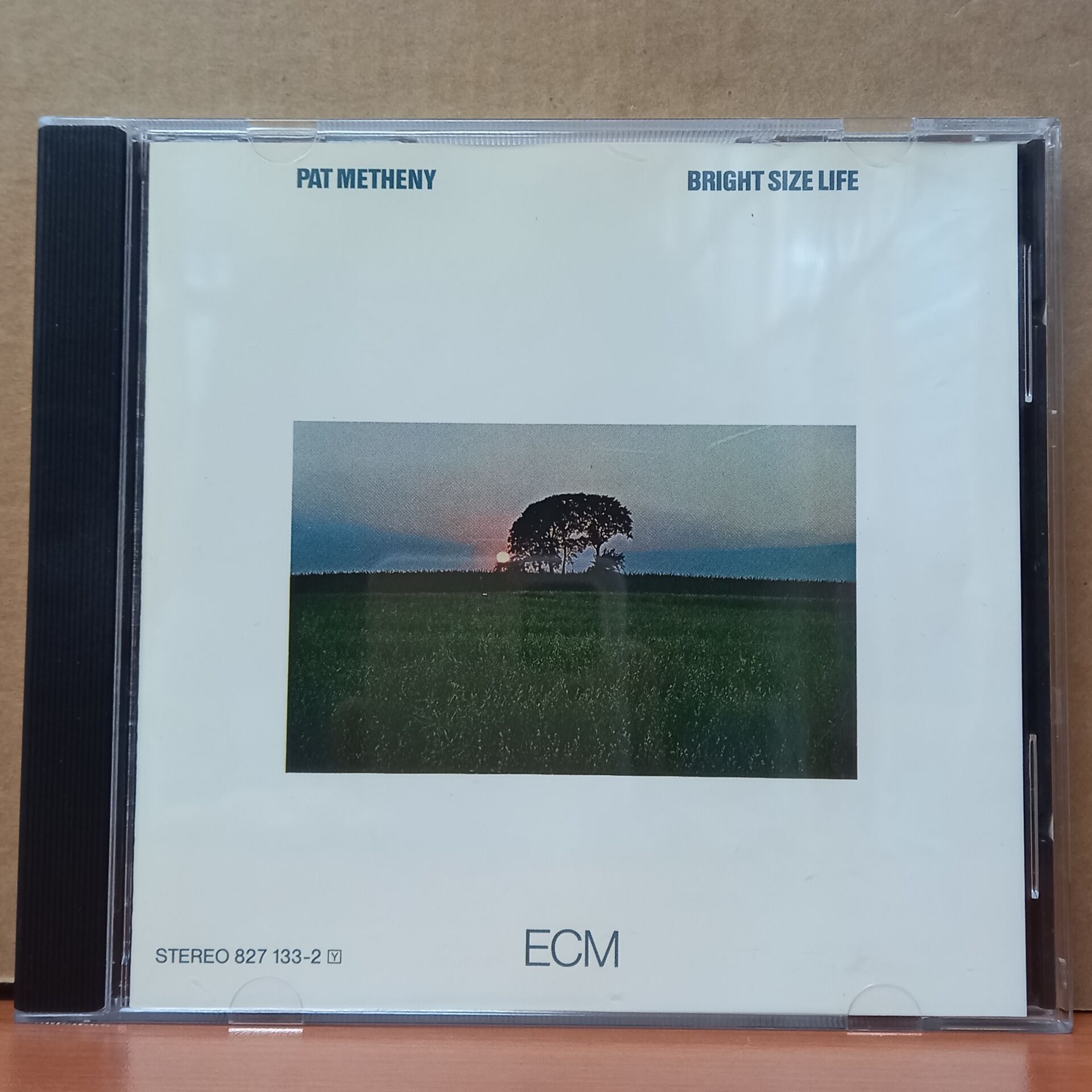 PAT METHENY - BRIGHT SIZE LIFE - CD 2.EL