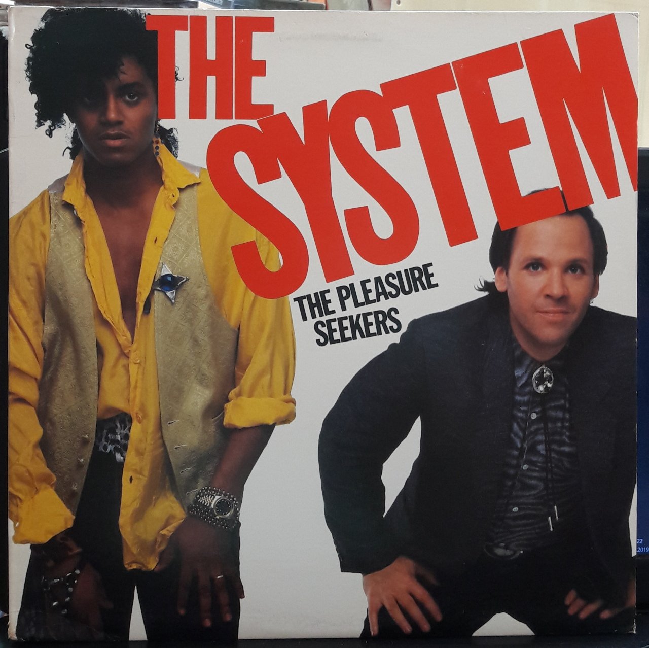 THE SYSTEM - THE PLEASURE SEEKERS (1985) - PLAK 2.EL