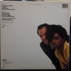 THE SYSTEM - THE PLEASURE SEEKERS (1985) - PLAK 2.EL