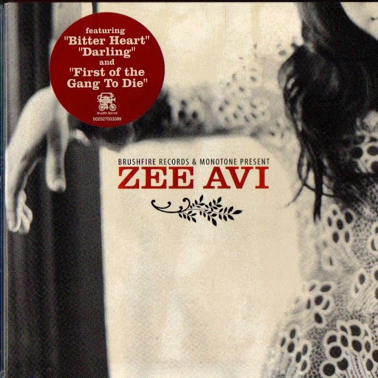 ZEE AVI - ZEE AVI (2009) - CD DIGIPACK FOLK ROCK 2.EL