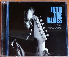 JOAN ARMATRADING - INTO THE BLUES (2007) - CD 429 RECORDS 2.EL