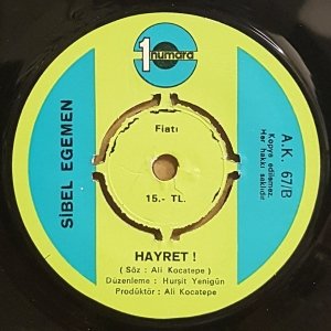SİBEL EGEMEN - DİLE BENDEN NE DİLERSEN / HAYRET - 7'' 45 DEVİR KAPAKLI 1 NUMARA 2.EL