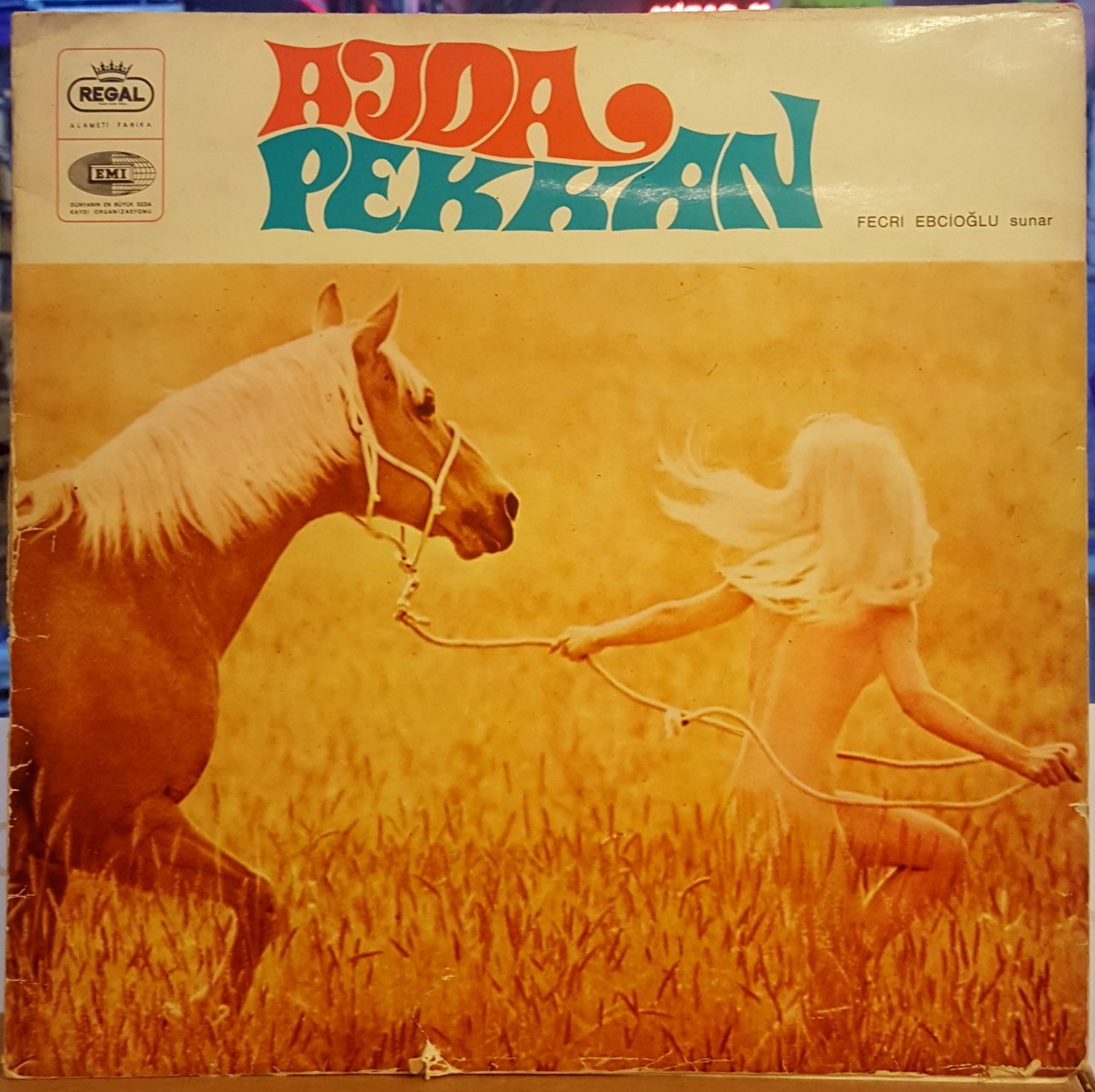 AJDA PEKKAN - FECRİ EBCİOĞLU SUNAR (1969) - LP 2.EL
