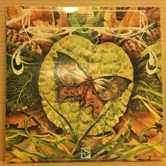 SPYRO GYRA - MORNING DANCE (1979) 2.EL PLAK