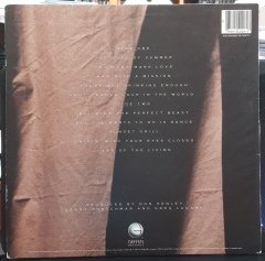 DON HENLEY - BUILDING THE PERFECT BEAST (1984) - PLAK 2.EL