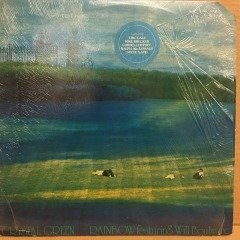 RAINBOW feat. WILL BOULWARE - CRYSTAL GREEN 1978 STEVE GADD ERIC GALE MICHAEL BRECKER 2.EL PLAK