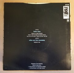 GUN - BETTER DAYS / WHEN YOU LOVE SOMEBODY (1989) - 7'' 45 DEVİR SINGLE PLAK