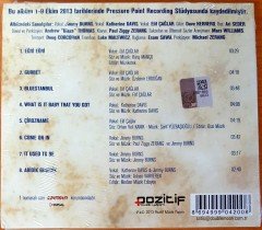 BLUES İLE BİRLİKTE HAYATA / JIMMY BURNS KATHERINE DAVIS ELİF ÇAĞLAR CD SIFIR