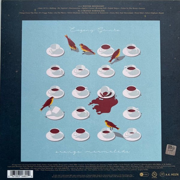 EVGENY GRINKO - WINTER MOONLIGHT (2025) - LP SIFIR PLAK