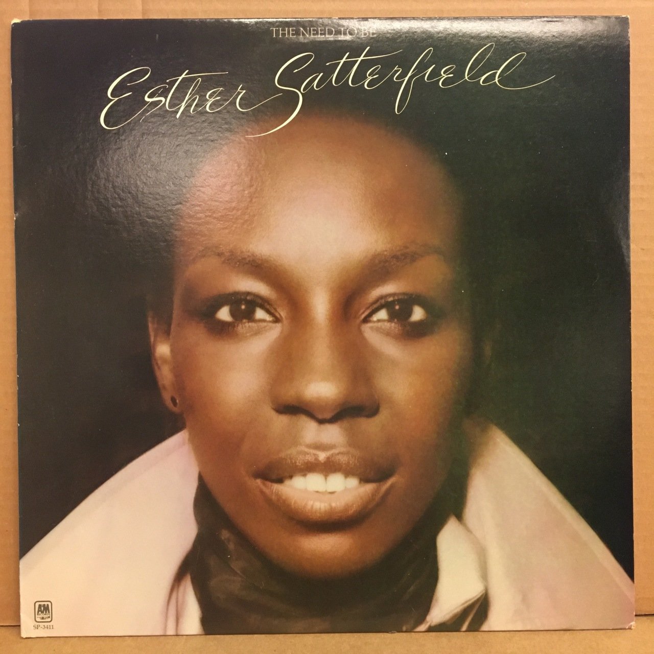 ESTHER SATTERFIELD - THE NEED TO BE 2.EL PLAK CHUCK MANGIONE