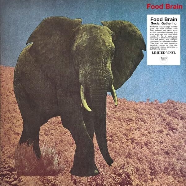 FOOD BRAIN - SOCIAL GATHERING (1970) - LP 2025 EDITION PSYCHEDELIC PROGRESSIVE JAPAN ROCK SIFIR PLAK