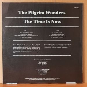 THE PILGRIM WONDERS - THE TIME IS NOW (1983) - LP 2.EL PLAK
