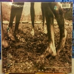 PEARL JAM - NO CODE (1996) - LP 2021 POLAROID LYRIC CARDS EDITION SIFIR PLAK