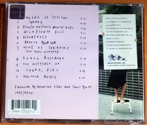 SONIC YOUTH - A THOUSAND LEAVES (1998) - CD 2.EL