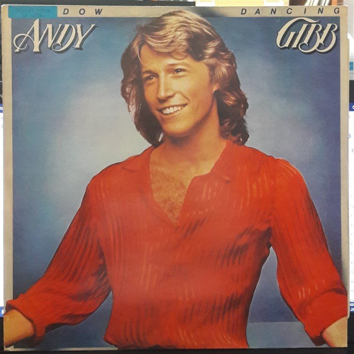 ANDY GIBB - SHADOW DANCING - 2.EL YERLİ BASKI PLAK