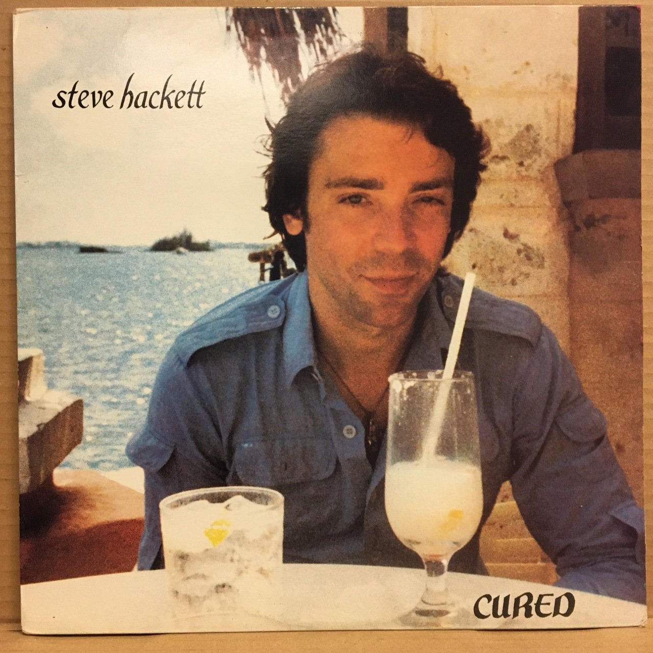 STEVE HACKETT - CURED (1981) - 2.EL PLAK