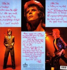 DAVID BOWIE - PINUPS (1973) - LP 180GR 2016 EDITION SIFIR PLAK