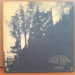 DAN FOGELBERG - NETHER LANDS (1977) - PLAK 2.EL