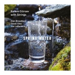 KEREM GÖRSEV - SPRING WATER (2017) - LP SIFIR PLAK