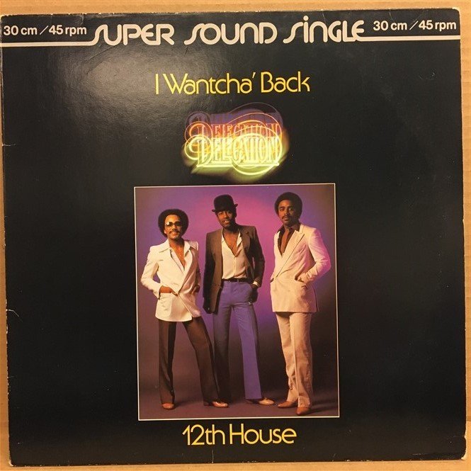 DELECATION - I WANTCHA' BACK - 12th HOUSE - 12'' MAXI SINGLE PLAK 2.EL