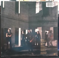 THE DICKEY BETTS BAND - PATTERN DISRUPTIVE (1988) - PLAK 2.EL