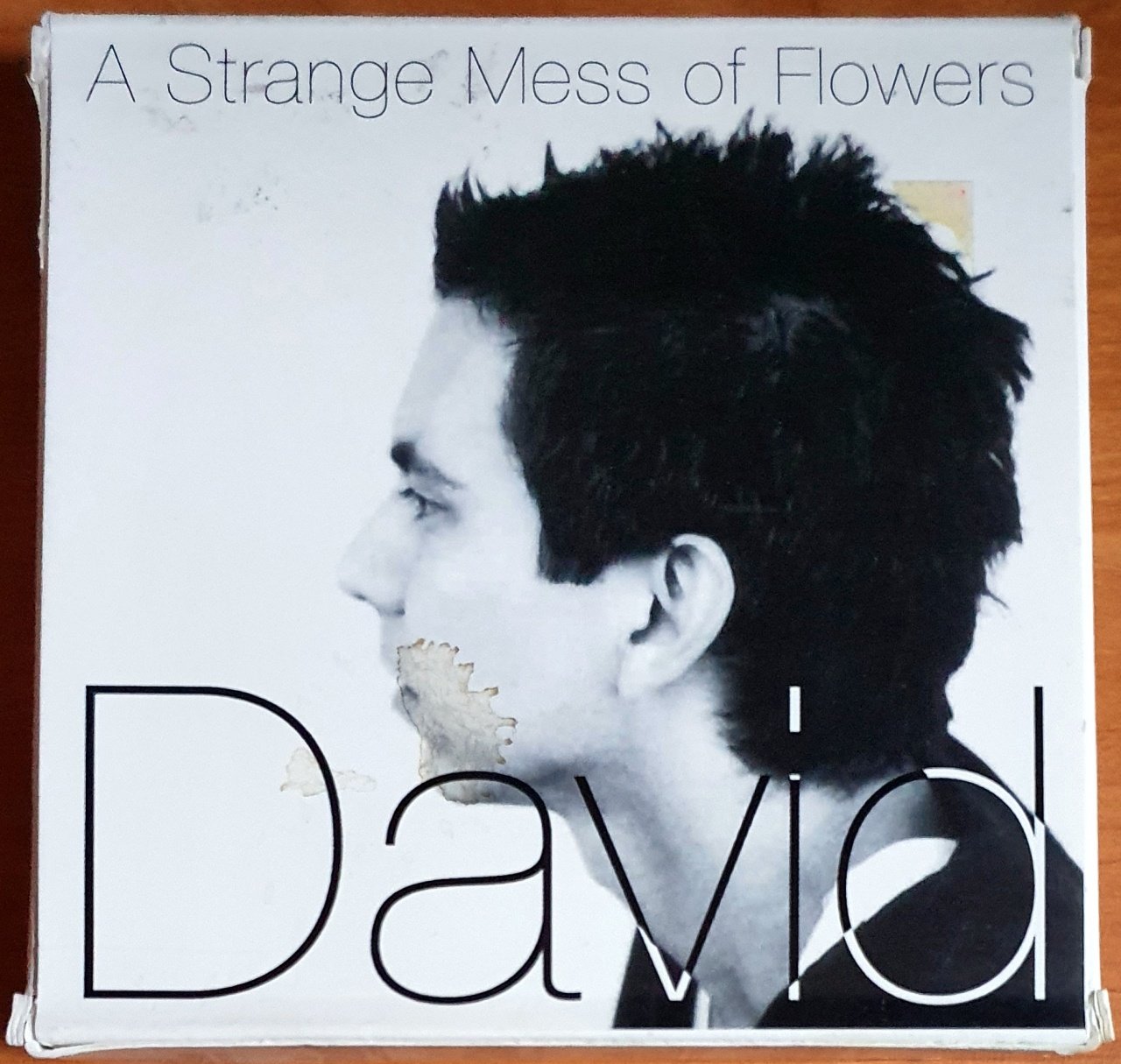 DAVID GARZA - A STRANGE MESS OF FLOWERS (2004) - 4CD+DVD WIDE OPEN RECORDS BOX SET 2.EL