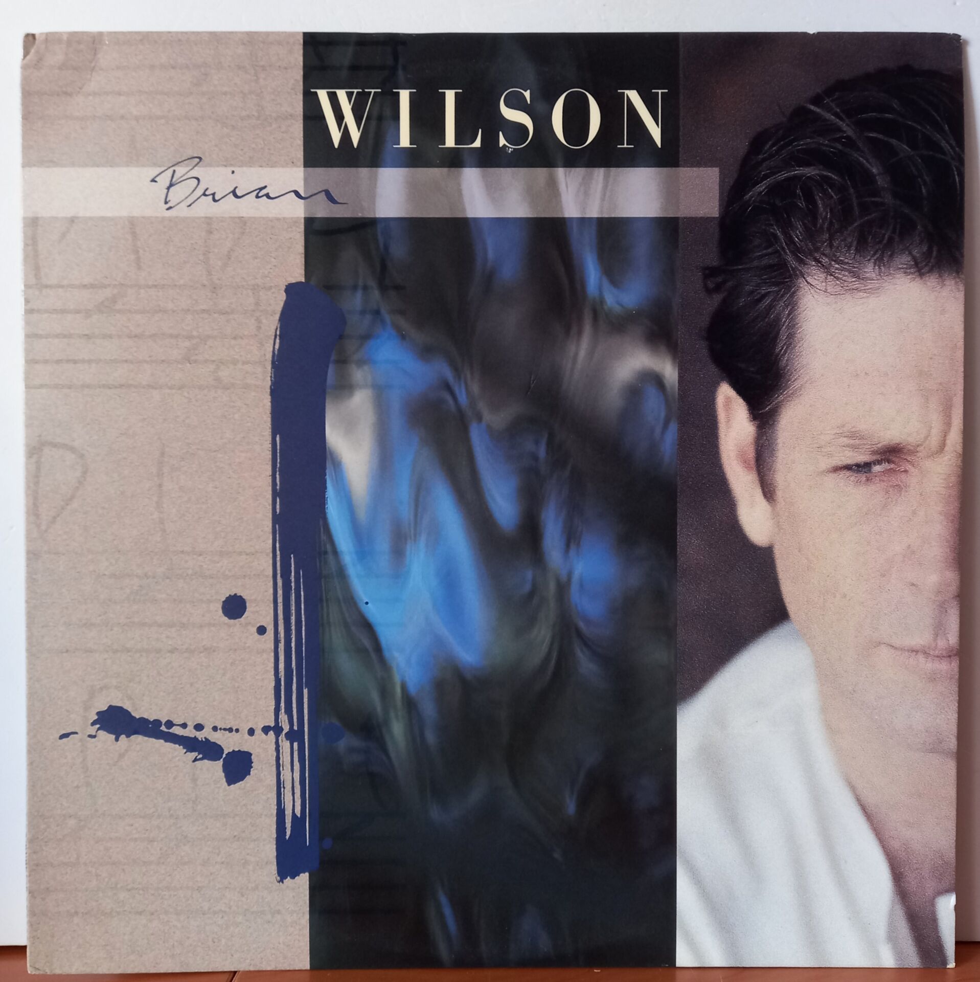 BRIAN WILSON – BRIAN WILSON (1988) - LP 2.EL PLAK