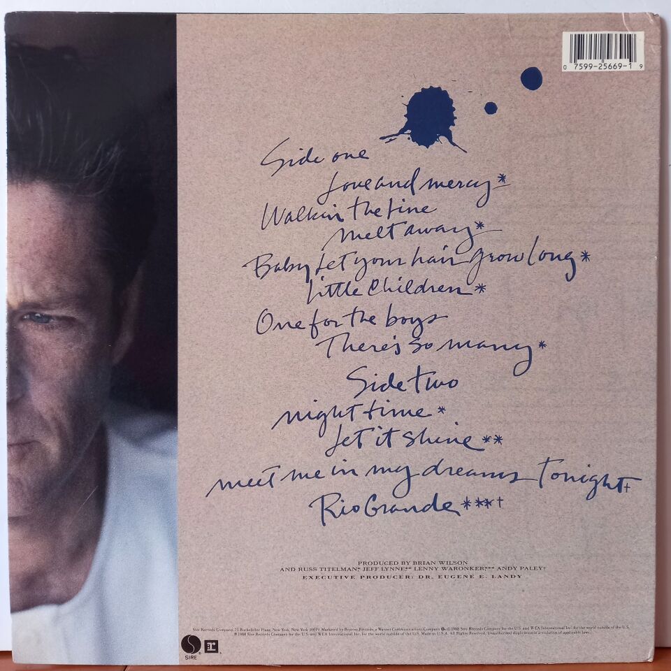 BRIAN WILSON – BRIAN WILSON (1988) - LP 2.EL PLAK