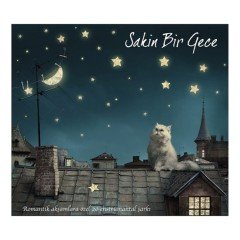 SAKİN BİR GECE - ROMANTİK AKŞAMLARA ÖZEL 20 ENSTRÜMANTEL ŞARKI (2012) - CD SIFIR