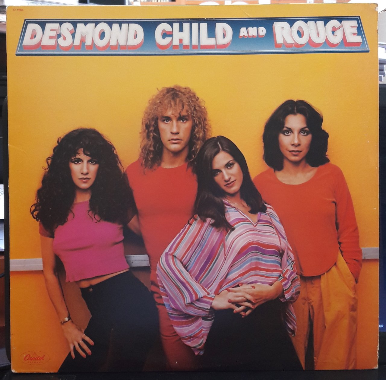DESMOND CHILD AND ROUGE - DESMOND CHILD AND ROUGE (1979) - PLAK 2.EL
