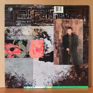 LYNCH - A PINCH OF LYNCH (1989) - LP 2.EL PLAK