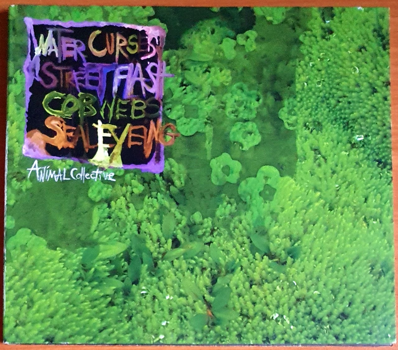 ANIMAL COLLECTIVE - WATER CURSES EP (2008) - CD DOMINO 2.EL